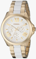 Horlogeband Fossil AM4545 Staal Bi-Color 20mm