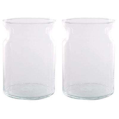 Set van 2x stuks transparante home-basics vaas/vazen van glas 25 x 18 cm Brenda