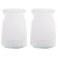 Set van 2x stuks transparante home-basics vaas/vazen van glas 25 x 18 cm Brenda