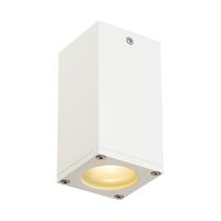 Plafondlamp THEO CEILING OUT wit 1xGU10