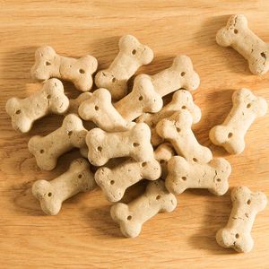 alsa-nature Eend & Sinaasappel mini-botjes, 2 x 1 kg