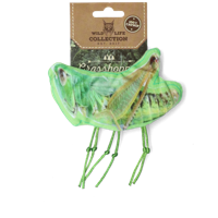 Wild Life Cat Sprinkhaan