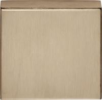 Formani Basics BSQB53 blind afdekplaatje vierkant - PVD licht brons