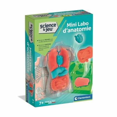 Interactief Speelgoed voor Baby's Clementoni