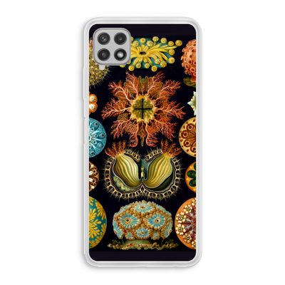 Haeckel Ascidiae: Samsung Galaxy A22 4G Transparant Hoesje