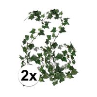 2x Klimop slinger Hedera Helix 180 cm