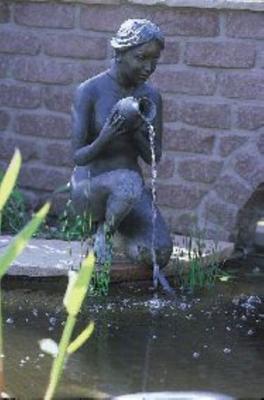 Aquarius universal 2000 - Oase