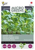 Microgreens Tatsoi - Buzzy
