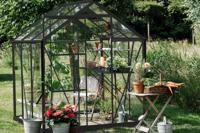 Tuinkas Kate I - 192x192 cm - Zwart- - Veiligheidsglas- Royal Well