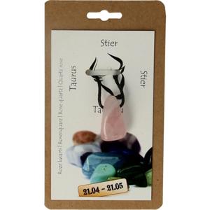 Steengoed Sterrenbeeldsteen hanger stier