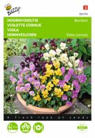 Viola cornuta Bambini Gemengd - Buzzy