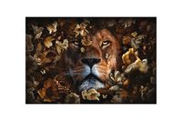 Glasschilderij - Leeuw Vogels - 160 x 110 cm