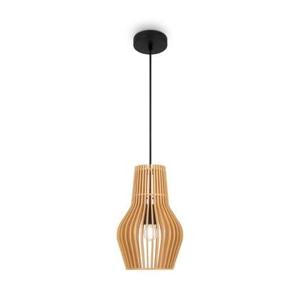 Maytoni - Hanglamp Roots - Zwart - Ø20