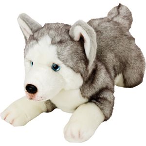 Pluche knuffel dieren Husky hond 34 cm