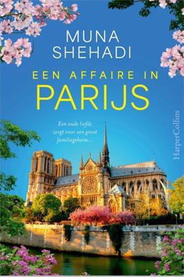 Een affaire in Parijs (Paperback)