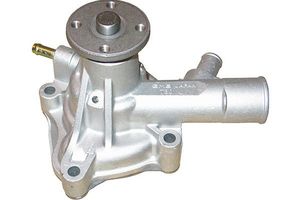 Waterpomp TW1120