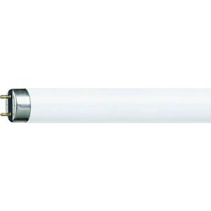 Philips Lighting TL-lamp Energielabel: G (A - G) G13 36 W Neutraalwit Buis (Ø x l) 26 mm x 1200 mm 10 stuk(s)