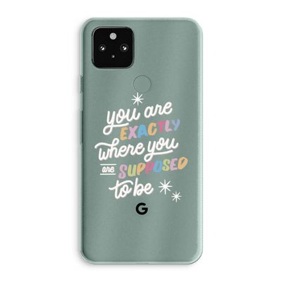 Right Place: Google Pixel 5a 5G Transparant Hoesje