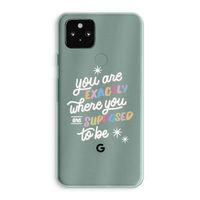 Right Place: Google Pixel 5a 5G Transparant Hoesje