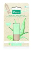 Lipcare watermint aloe vera