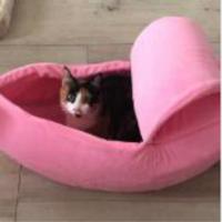 Creatieve kennel banaan vorm kat strooisel winter warm huisdier nest maat: XL (roze)