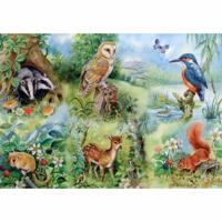 Nature Study Puzzel 250 Stukjes XL