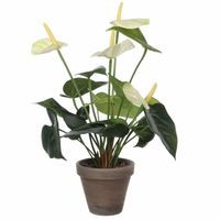 Kunstplant Anthurium wit in grijze pot 27 cm - thumbnail