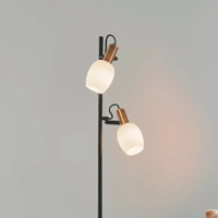 Nordlux Arild vloerlamp zwart met 2 opaalglazen kappen E14 fittingen Nordlux Arild vloerlamp zwart met 2 opaalglazen kappen E14 fittingen