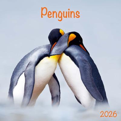 Pinguin Kalender 2026