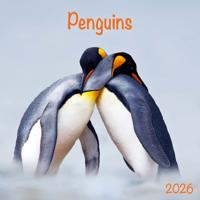 Pinguin Kalender 2026
