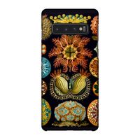 Haeckel Ascidiae: Samsung Galaxy S10 4G Volledig Geprint Hoesje