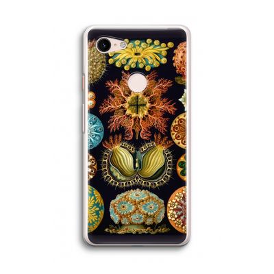 Haeckel Ascidiae: Google Pixel 3 Transparant Hoesje