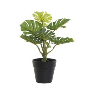 Kunstplant Monstera in bloempot - Groen - 20 x 30 cm
