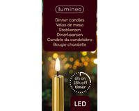 LED dinerkaars d2h24 cm goud/wwt 2st kerst - Lumineo
