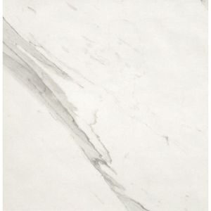 Fap Ceramiche wand- en vloertegel - 60x60cm - 10mm - Vierkant - gerectificeerd - Marmerlook - Wit/zwart mat SW07310509-5