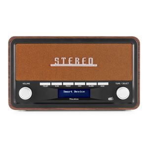 DAB radio met Bluetooth model 2024 - Retro radio - DAB+ / FM - Op batterijen en netstroom - Audizio Foggia