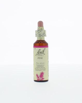 Bach Pine/den