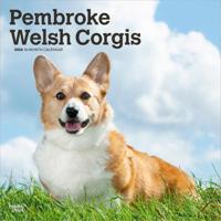 Welsh Corgi Pembroke Kalender 2026