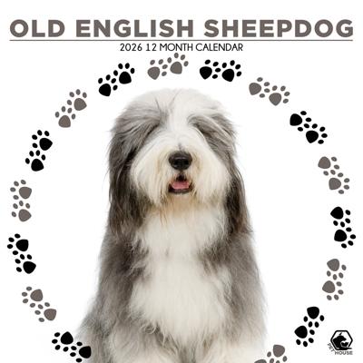 Old English Sheepdog Kalender 2026 Old English Sheepdog Kalender 2026