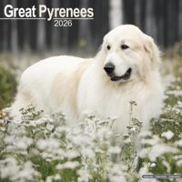 Pyreneese Berghond Kalender 2026