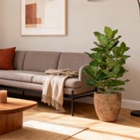 Lyrata Royal kunstplant 90cm