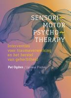 Sensorimotor Psychotherapy (Hardback)