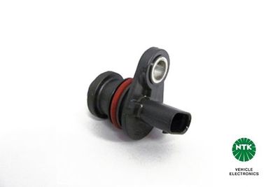 Nokkenassensor 81451