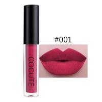 Matte waterdichte make-up lip gloss vloeibare lip stick lange blijvende lipgloss (1)
