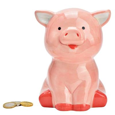 Spaarpot varken - voor kinderen - keramiek - grijs - 16 x 12 x 10 cm - geld sparen