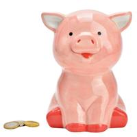 Spaarpot varken - voor kinderen - keramiek - grijs - 16 x 12 x 10 cm - geld sparen Spaarpot varken - voor kinderen - keramiek - grijs - 16 x 12 x 10 cm - geld sparen