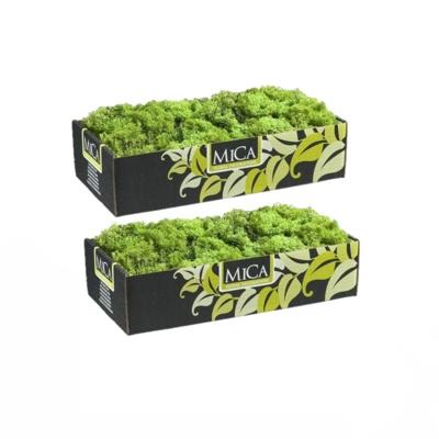 Mica Decorations Rendiermos - 2x pakjes - 500 gram - groen - hobby mos