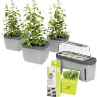 Gusta Garden W07070 Plantcontainer