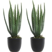 2x Groene aloe vera kunstplanten 35 cm in zwarte pot