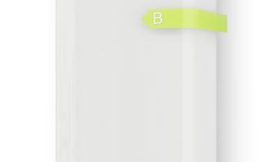 Tesy elektrische boiler 100 liter Bellislimo